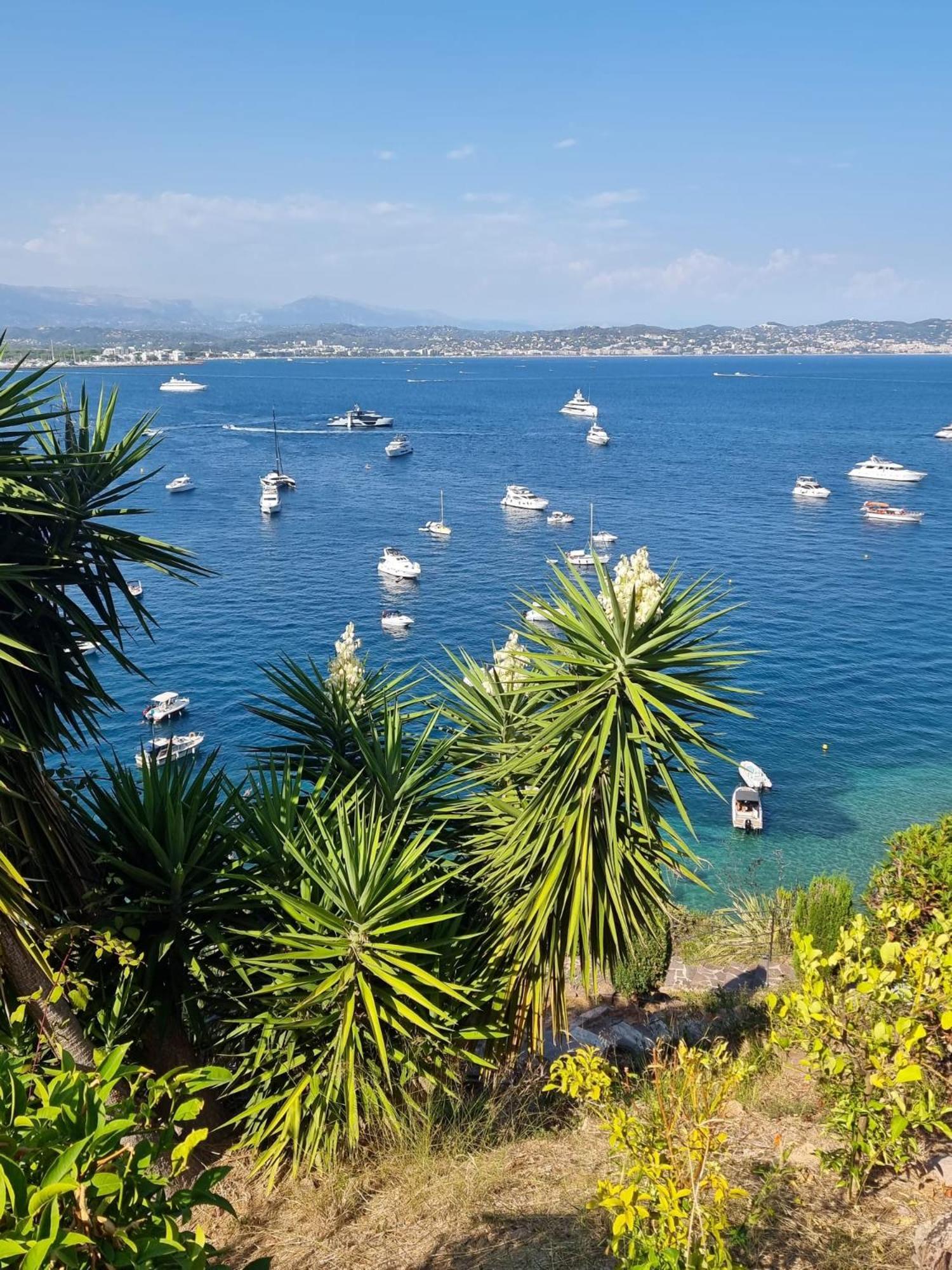 Villas And Suites La Coraillere Resort Theoule-sur-Mer Exterior photo